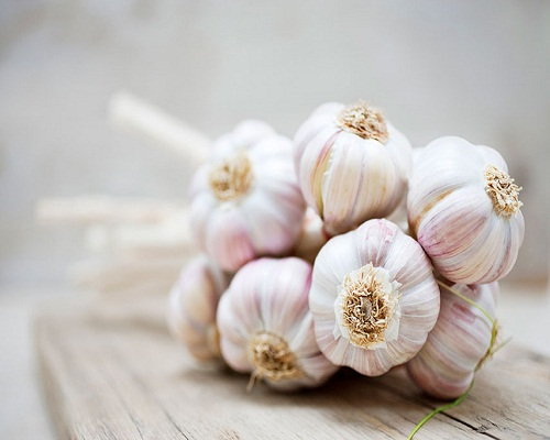 tỏi có tác dụng thần kỳ