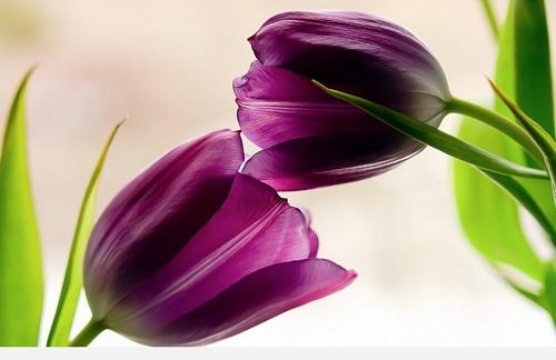 hạn chế yêu vào ngày lạnh