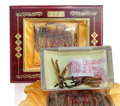 đông trùng hạ thảo có nhiều công dụng 